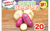 [訳あり] コロコロじゃがいも 20kg (2種類以上の詰め合わせ)[数量限定/期間限定]|じゃがいも ジャガイモ ポテト 馬鈴薯 とうや ノーザンルビー レッドムーン メークイン 産地直送 農家直送 訳あり品 [0222]