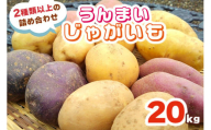 うんまいじゃがいも 20kg (2種類以上の詰め合わせ) [数量限定／期間限定] 8月中旬より順次発送｜じゃがいも ジャガイモ ポテト 馬鈴薯 とうや ノーザンルビー レッドムーン メークイン 産地直送 農家直送 甘楽町産 国産 群馬県産 吉田農場 [0221]