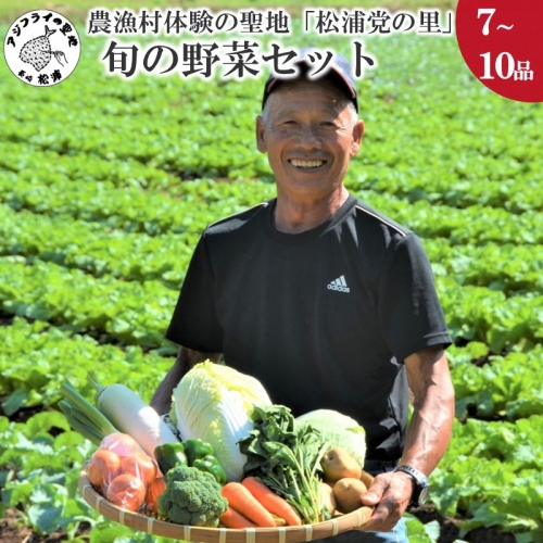 【B1-115】農漁村体験の聖地「松浦党の里」旬の野菜セット 149457 - 長崎県松浦市