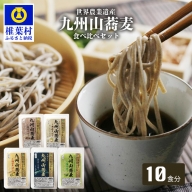世界農業遺産 九州山蕎麦食べ比べセット 10食分 5町村Ver (ご家庭用パッケージ)