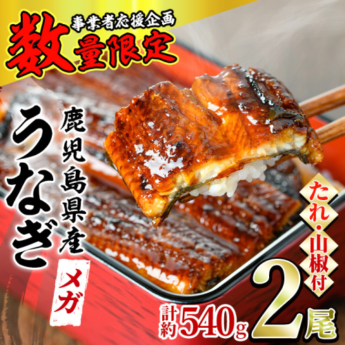 【0174318a】＜数量限定＞＜メガサイズ＞「養鰻業者応援」うなぎ蒲焼き(無頭)(2尾・計約540g・タレ、山椒付) うなぎ 高級 ウナギ 鰻 国産 蒲焼 蒲焼き たれ 鹿児島 ふるさと 人気【アクアおおすみ】 149476 - 鹿児島県東串良町