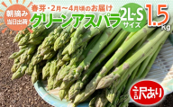 数量限定 先行予約 【訳有り】【規格外】 アスパラガス 春芽 2L～S 1.5kg【2月〜4月お届け】｜朝採り 朝採れ 直送 グリーンアスパラガス アスパラ BT04