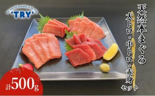 【天然】本まぐろ　大トロ・中トロ・赤身セット 500g 鮪 本鮪 本マグロ マグロ 刺身 刺し身 海鮮 サク 海の幸◆ 1495203 - 静岡県静岡市