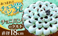 【2025年4月〜発送】【こだわりのサクサクタルト】チョコミントのタルト / タルト チョコ ミント 18cm 南島原市 / アトリエジジ [SAA027]