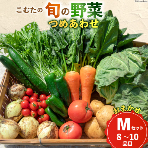 AI022【10～5月限定出荷】こむたの旬の野菜つめあわせ(8～10品目)おまかせ M セット 【 野菜 やさい 旬 種類 人気 オススメ 新鮮 詰め合わせ こむた 小無田 青果 長崎県 島原市 】 1496074 - 長崎県島原市