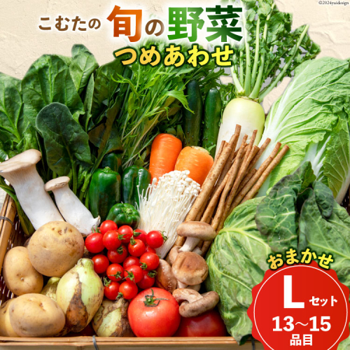 AI023【10～5月限定出荷】こむたの旬の野菜つめあわせ(13～15品目)おまかせ L セット 【 野菜 やさい 旬 種類 人気 オススメ 新鮮 詰め合わせ こむた 小無田 青果 長崎県 島原市 】 1496077 - 長崎県島原市