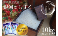 ★令和6年産★【9回定期便】特A受賞　銀河のしずく10kg（5kg×2袋）岩手県紫波町産 (AD043)