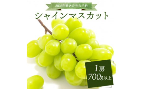 ＜2025年発送分 先行予約＞シャインマスカット 1房 700g以上［025-a009］ 1496273 - 岡山県鏡野町