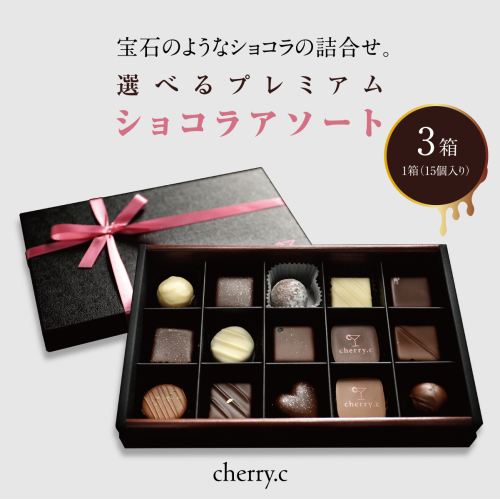 プレミアム ショコラ アソート15個×3【cherry.c】お菓子 洋菓子 贈り物 ギフト 手土産 詰め合わせ チョコレート チョコ ショコラ スイーツ ベルギー ビター バレンタイン ホワイトデー [024-a006_A] 1496379 - 兵庫県芦屋市