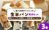リト史織さん監修！＜グルテンフリー・プラントベース＞生のお米からつくった生米パン3本セット　贅沢セット（生米パン、ごろっと黒豆パン、日本酒フルーツパン） パン 食パン 米 生米 黒豆 フルーツパン 日本酒 ベジタリアン ヴィーガン 植物性