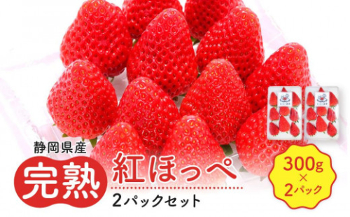 先行受付【静岡県産いちご】完熟紅ほっぺ2パックセット（300g×2パック）【2025年1月下旬以降発送予定】 1496911 - 静岡県御前崎市