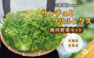 サンチュ(6パック)とフリルレタス(4パック)の焼肉野菜セット