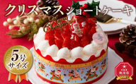 [先行予約][2024年12月23日お届け] クリスマスショートケーキ 5号サイズ_04255 [ クリスマス ケーキ 菓子 お菓子 おかし スイーツ デザート 洋菓子 旭川 北海道 送料無料 おすすめ 人気 食品 ]