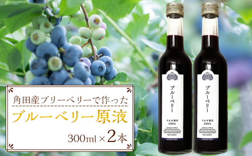 ブルーベリー原液　300ml×2本詰 1497454 - 宮城県角田市