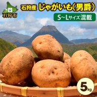 130087001 [2024年度産:8月下旬〜発送]北海道 石狩産じゃがいも・5kg(男爵)S〜Lサイズ混載