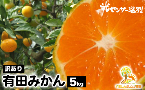 【先行受付】【訳あり】有田みかん 5kg ｜ 農家直送 訳あり ご家庭用 サイズ混合 光センサー選別 温州みかん みかん 訳あり わけあり 家庭用 ※2025年11月中旬～12月下旬頃に順次発送予定※北海道・沖縄・離島への配送不可 1497595 - 和歌山県美浜町