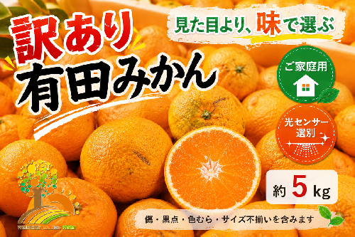 【先行受付】【訳あり】有田みかん 5kg ｜ 農家直送 訳あり ご家庭用 サイズ混合 光センサー選別 温州みかん みかん 訳あり わけあり 家庭用 1497595 - 和歌山県美浜町