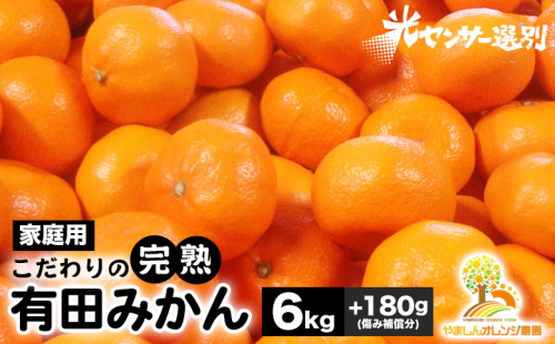 ＼光センサー選別／こだわりの完熟有田みかん 6kg＋180g(傷み補償分) 【ご家庭用】サイズ混合 ◇ふるさと納税 みかん 有機質肥料100%※2024年11月中旬～2025年1月上旬頃に順次発送予定※北海道・沖縄・離島への配送不可 1497596 - 和歌山県美浜町