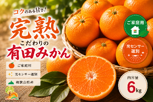 ＼光センサー選別／こだわりの完熟有田みかん 6kg＋150g(傷み補償分) 【ご家庭用】サイズ混合 ｜ふるさと納税 みかん 有機質肥料100%◇ 1497596 - 和歌山県美浜町