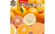 [1月より発送]厳選 柑橘詰合せ2kg+60g(傷み補償分)[有田の春みかん詰め合わせ・フルーツ詰め合せ・オレンジつめあわせ][光センサー選別]