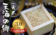 【令和6年産新米】【3ヵ月定期便】京都福知山産コシヒカリ『天海の郷』3kg（玄米）天空に広がる天海の郷 / ふるさと納税 こめ コメ 米 コシヒカリ こしひかり 玄米 定期 3カ月 おいしい 美味しい 美容 健康 天空 雲海 天海の郷 京都府 福知山市 FCCM033