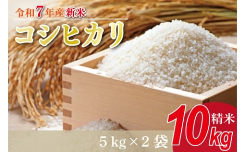 【2025年9月中旬より順次発送】★新米★R7年産 コシヒカリ 10kg(5kg×2袋)｜米 お米 白米 精米 新米 R7年産 令和7年産 こしひかり コシヒカリ 茨城県 茨城県産 行方市(HA-14)
