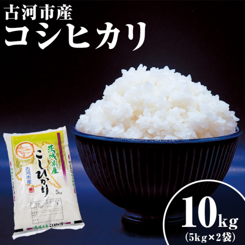 令和6年産 新米 10kg 関東平野で育った古河市産コシヒカリ 10kg (5kg×2袋) | こめ 米 コメ こしひかり 10キロ 古河市産 茨城県産 _DG02 ※北海道・沖縄・離島への配送不可 1497977 - 茨城県古河市