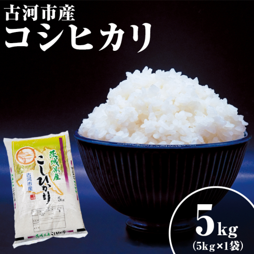 令和6年産 新米 5kg 関東平野で育った古河市産コシヒカリ 5kg (5kg×1袋) | こめ 米 コメ こしひかり 5キロ 古河市産 茨城県産 _DG03 ※北海道・沖縄・離島への配送不可 1497978 - 茨城県古河市