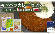 キャベツカレーセット(ぐんまキャベツカレー1個＋嬬恋キャベツ入りトマトキーマカレー1個＋嬬恋米300g) レトルトカレー 2食分 2人前 キャンプ 食べ比べ お試し 少量 小分け こめ ブランド米 米 白米 精米 受賞 皇室献上米 コメ 2合 詰め合わせ セット [AB085tu]