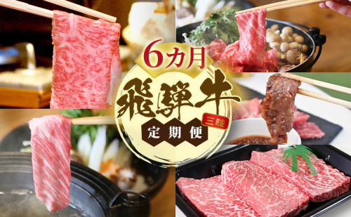 飛騨牛 A5 大満足 飛騨牛三昧  6か月 定期便 ステーキ すき焼き 焼肉 1498459 - 岐阜県瑞穂市