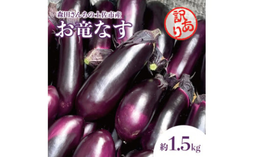 森田さんちの土佐市産お竜なす 訳あり 約1.5kg 1.5キロ 16～21本 1本約80g 茄子 ナス なすび 野菜 新鮮 焼き茄子 煮浸し 漬物 浅漬け ぬか漬け 味噌汁 おかず 訳アリ ご自宅用 1498748 - 高知県土佐市