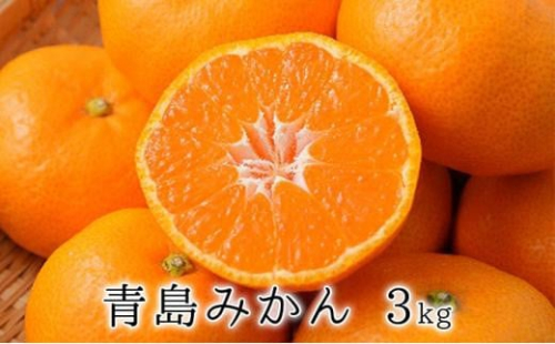 【2026年1月中旬より順次発送】甘さと酸味がマッチ　青島みかん3kg 1498752 - 静岡県静岡市