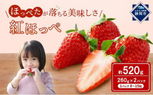 いちご ほっぺたが落ちる 紅ほっぺ 2パック 果物 イチゴ 苺 おやつ ギフト 贈答品 お祝い 5000円 プレゼント 国産 フルーツ くだもの 1498753 - 静岡県静岡市