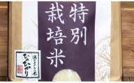 【令和5年度産】奈良県産　特別栽培米　ひのひかり　5kg