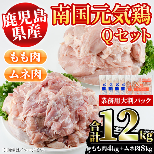 鹿児島県産！南国元気鶏Qセット(合計12kg・もも肉：2kg×2P、ムネ肉：2kg×4P) 国産 鹿児島県産 鶏肉 肉 お肉 ムネ肉 むね肉 胸肉 モモ肉 もも肉 南国元気鶏 業務用 大判パック おかず おつまみ【さるがく水産】a-34-7-z 149911 - 鹿児島県阿久根市