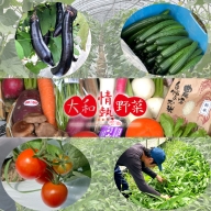 大和情熱野菜の玉手箱 / 季節の野菜 旬の野菜セット