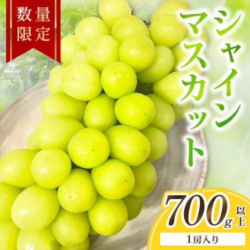 【先行予約／数量限定50】シャインマスカット 700g以上（1房入り）（2026年9月上旬～発送）
 1499876 - 京都府京丹後市