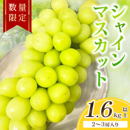 【先行予約／数量限定100】シャインマスカット 1.6kg以上（2～3房入り）（2026年9月上旬～発送）
 1499878 - 京都府京丹後市