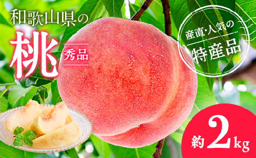 【産直・人気の特産品】和歌山の桃　約2kg・秀品◇ ｜ モモ 国産 フルーツ お取り寄せ ギフト
※北海道・沖縄・離島への配送不可
※2025年6月下旬～8月上旬頃に順次発送予定 150003 - 和歌山県美浜町