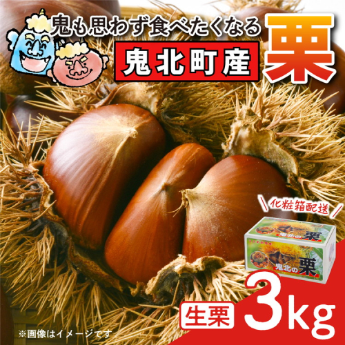 【鬼の栗拾い】鬼北町産くり 約3kg ｜ 大粒 生栗 和栗 国産栗 地域限定 丹波栗 くり 栗 栗ご飯 生栗 果物 フルーツ 先行予約 数量限定 ※離島への配送不可 ※2025年9月中旬～10月上旬頃に順次発送予定 1500045 - 愛媛県鬼北町