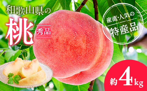 【産直・人気の特産品】和歌山の桃　約4kg・秀品◇ ｜ モモ 国産 フルーツ お取り寄せ ギフト
※北海道・沖縄・離島への配送不可
※2025年6月下旬～8月上旬頃に順次発送予定 150004 - 和歌山県美浜町