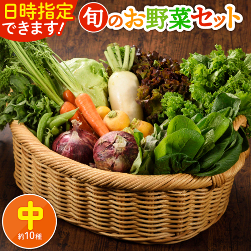 日時指定可能！旬のお野菜セット（サイズ中） 1500054 - 宮崎県綾町