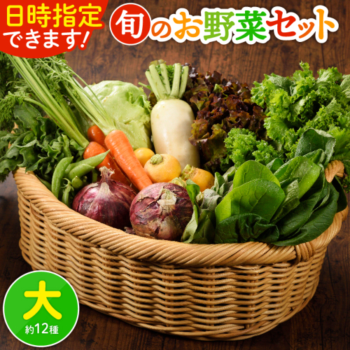 日時指定可能！旬のお野菜セット（サイズ大） 1500141 - 宮崎県綾町