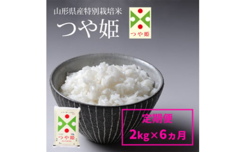 【定期便6回】山形産 特別栽培米 つや姫 2kg×6ヶ月(計12kg)  FY24-304 1500144 - 山形県山形市