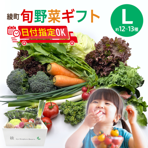 綾町旬野菜ギフト〈 Lサイズ/約12-13種 〉4人以上分 1500150 - 宮崎県綾町