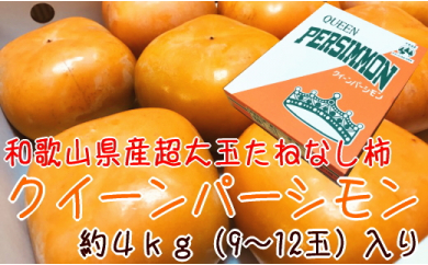 【先行予約】【和歌山特産品】柿の女王 特大サイズのたねなし柿 クイーンパーシモン 4L～7Lサイズ 約4kg入り
※沖縄地域へのお届け不可
※2024年10月下旬～11月上旬頃に順次発送予定 150039 - 和歌山県美浜町