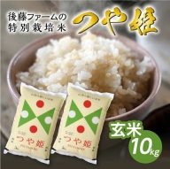 SA1467　令和4年産【玄米】特別栽培米 つや姫　10kg(5kg×2袋) GF