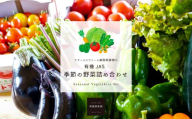 【有機JAS認定】【4ヶ月隔月定期便】 季節の野菜詰め合わせ ～有機野菜セットB～ 15種類～18種類 季節 野菜 野菜セット 有機野菜 有機 詰め合わせ セット