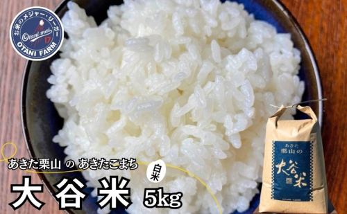 新米 精米 令和6年産 あきた栗山 大谷米 あきたこまち 5kg 秋田県産 あきたこまち オータニファーム 1501128 - 秋田県能代市