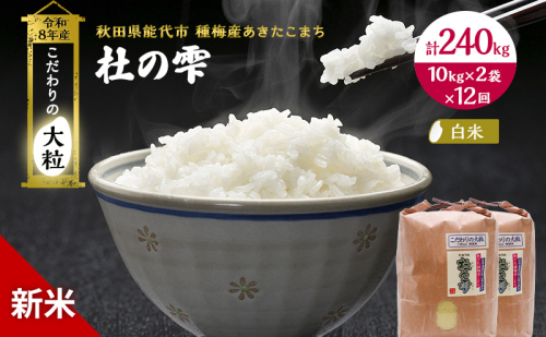 新米 先行予約 令和8年産[白米]【定期便12ヶ月】秋田県産 あきたこまち 20kg(10kg×2)×12回 計240kg 「杜の雫」こだわりの大粒 種梅産【 お米 おこめ たねうめ 精米 ご飯 ごはん ブランド米 大粒 おにぎり 産地直送 能代 】 1501213 - 秋田県能代市